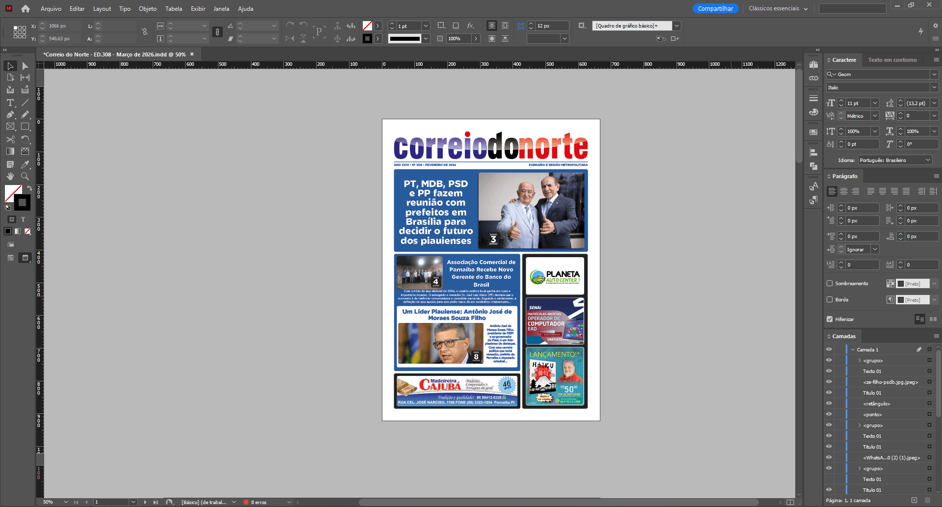 Capa do portfólio — Correio do Norte